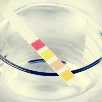 Everything to Know About Diluted Urine Drug Test Results