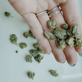 Medical Marijuana in the Workplace | US Drug Test Centers