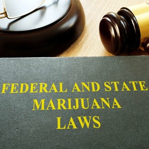 States Most Impacted By Marijuana Use