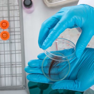 The Role Of Hair Drug Testing In Today's Workplace