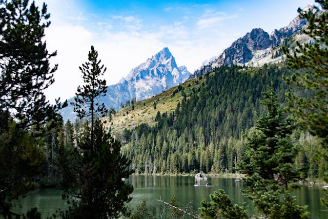 Mountains and trees in Wyoming