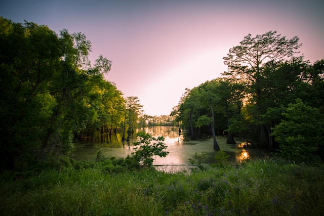 The great outdoors in Mississippi