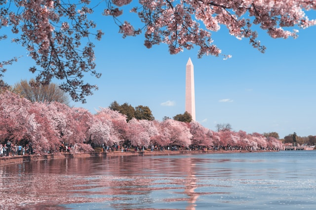Washington, DC