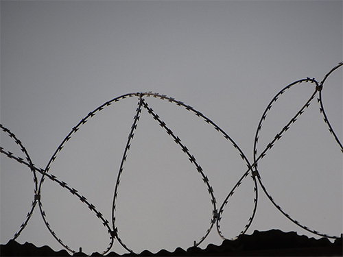 barbed wire