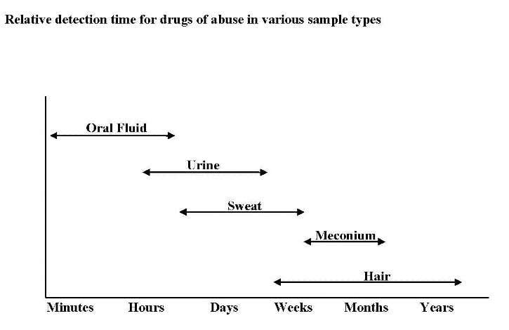 chart of detection times for various types of drug testing samples