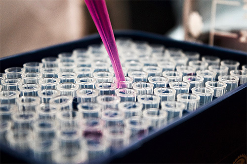 filling test tubes with purple liquid