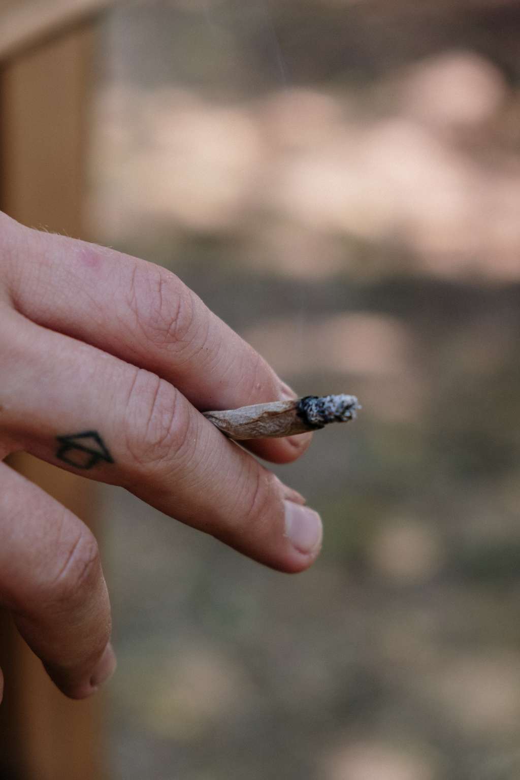 Hand hold marijuana joint
