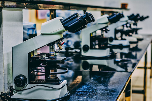 microscopes in a lab