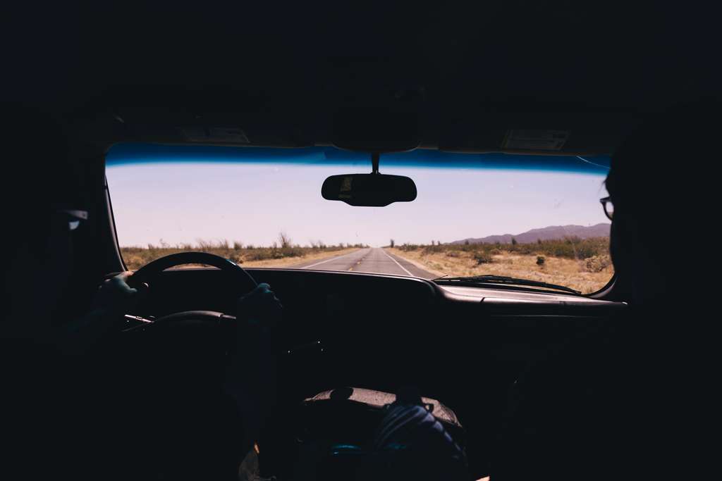 two truck drivers behind the wheel