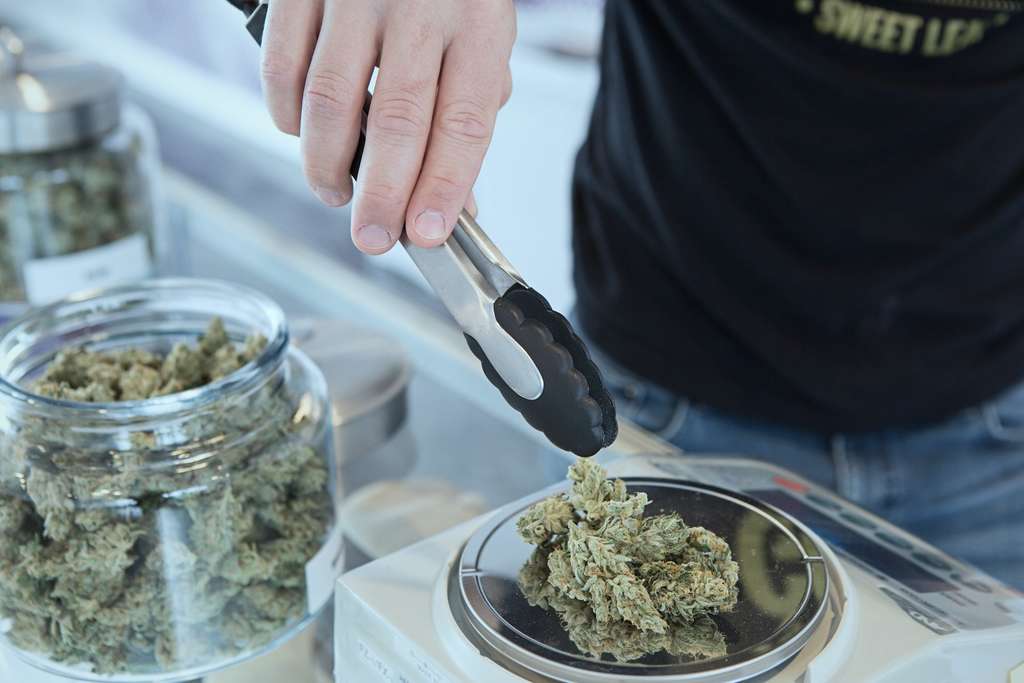 Weighing medical cannabis at a dispensary