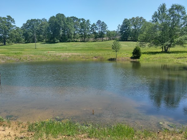 Representative image for Blountsville, Alabama