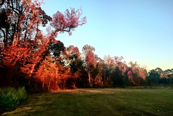 Representative image for Evergreen, Alabama