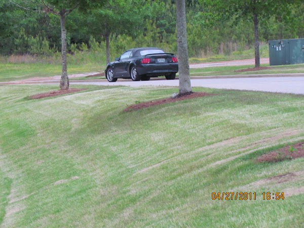 Representative image for Homewood, Alabama