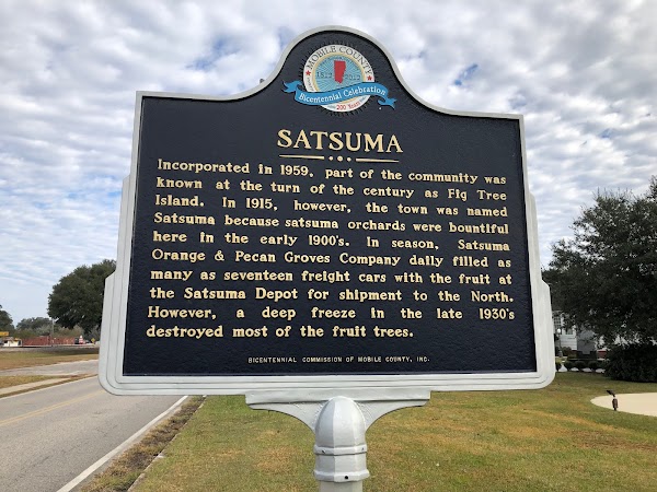 Representative image for Satsuma, Alabama