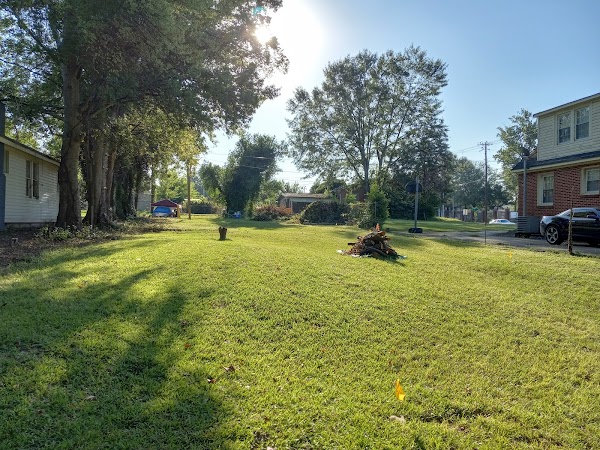 Representative image for Tuscaloosa, Alabama