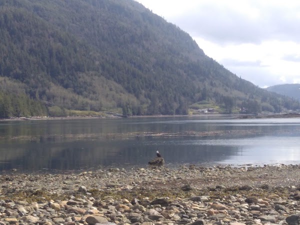 Representative image for Craig, Alaska