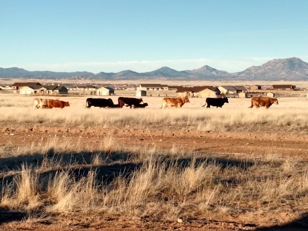 Representative image for Chino Valley, Arizona