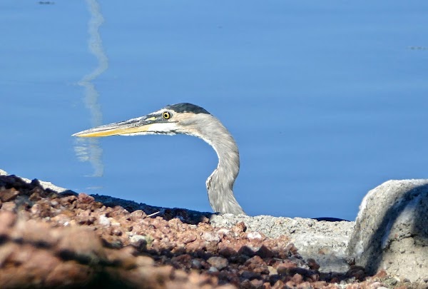Representative image for Fort Mohave, Arizona
