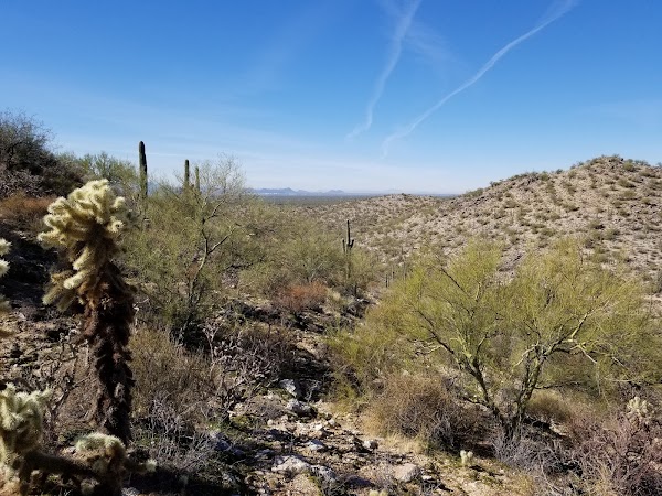 Representative image for Marana, Arizona