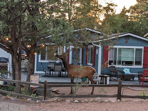 Representative image for Payson, Arizona