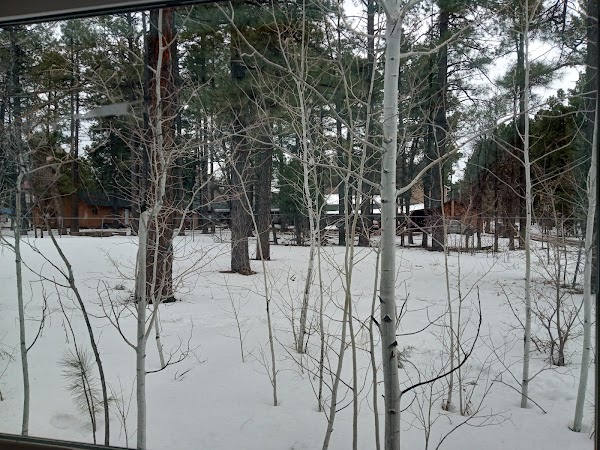 Representative image for Pinetop, Arizona