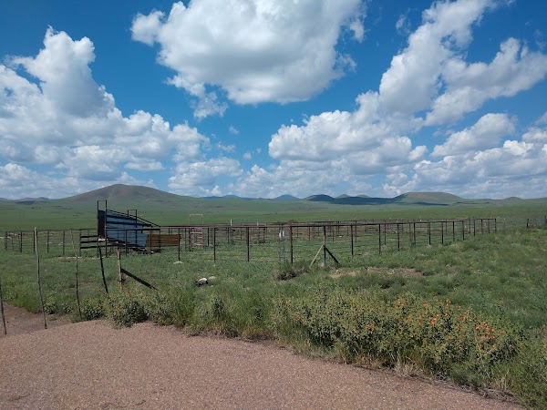 Representative image for Springerville, Arizona