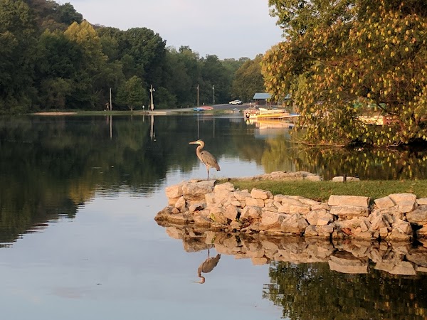 Representative image for Bella Vista, Arkansas