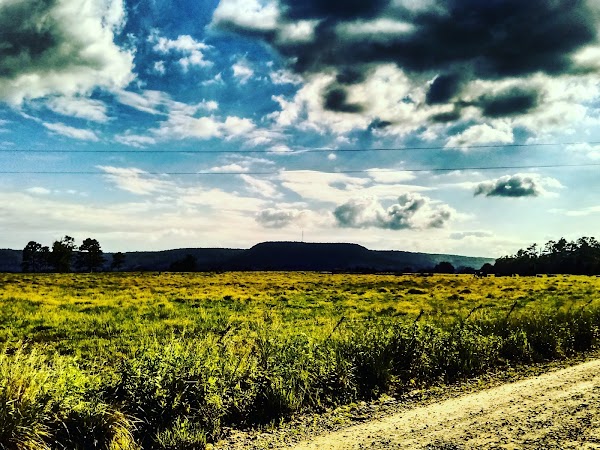 Representative image for Green Forest, Arkansas