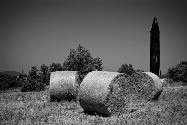 Representative image for Monticello, Arkansas