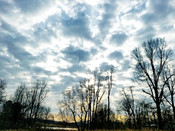 Representative image for Paragould, Arkansas
