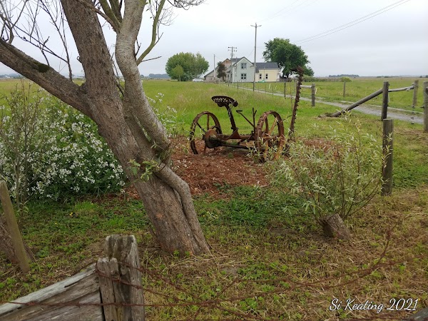 Representative image for Arcata, California
