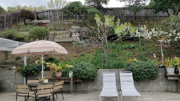 Representative image for Castro Valley, California