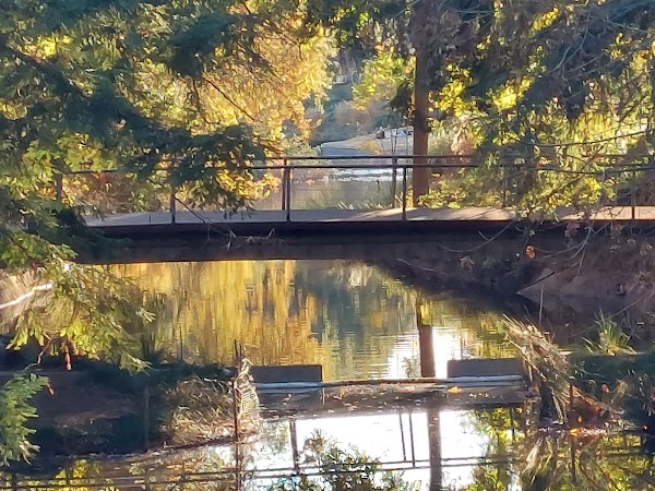 Representative image for Davis, California