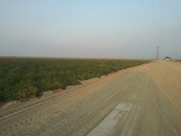 Representative image for DOS PALOS, California