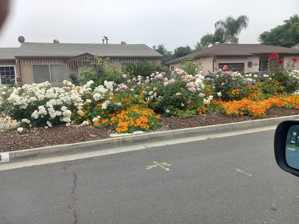 Representative image for Duarte, California