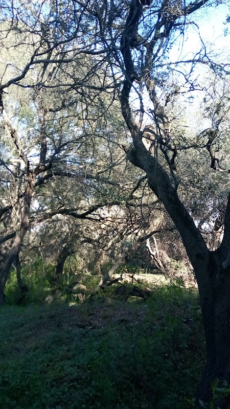 Representative image for Fair Oaks, California