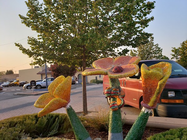 Representative image for Fairfield, California