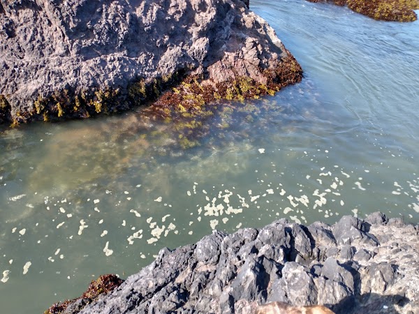 Representative image for Fort Bragg, California