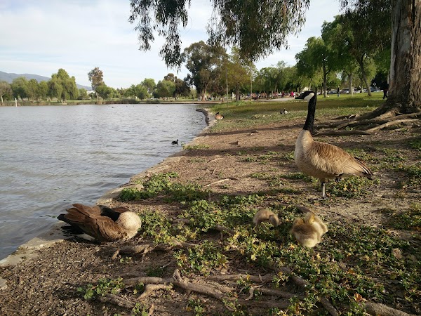 Representative image for Fremont, California