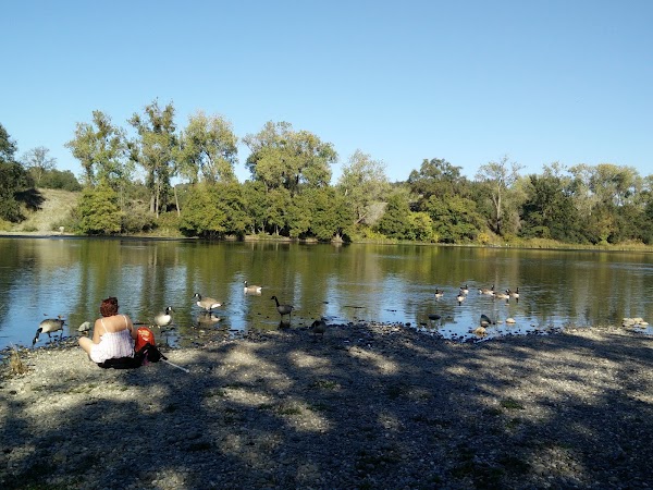 Representative image for Gold River, California