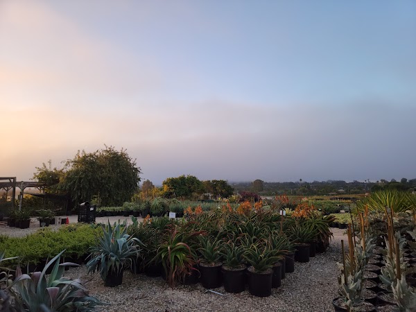 Representative image for Goleta, California