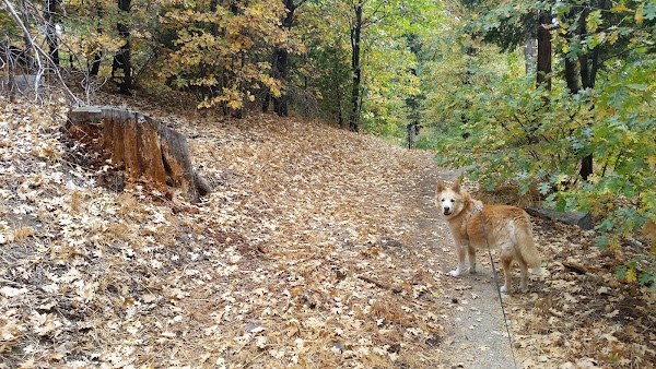 Representative image for Lake Arrowhead, California