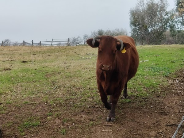 Representative image for Loomis, California