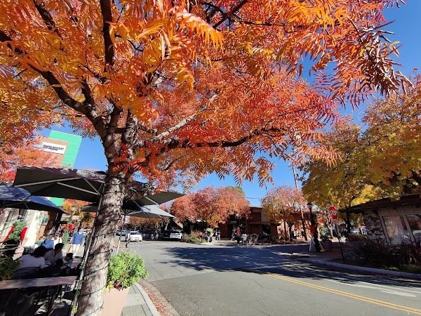 Representative image for Los Altos, California