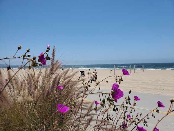 Representative image for Manhattan Beach, California