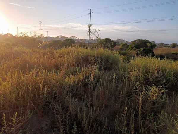 Representative image for Oxnard, California