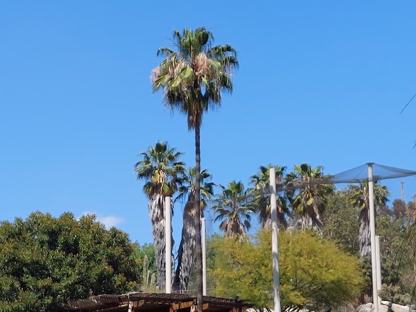 Representative image for Ramona, California