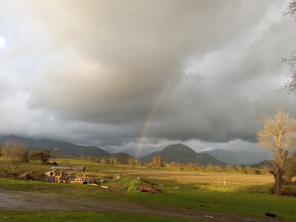 Representative image for Reedley, California