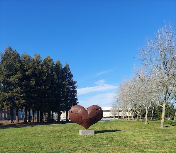 Representative image for Rohnert Park, California