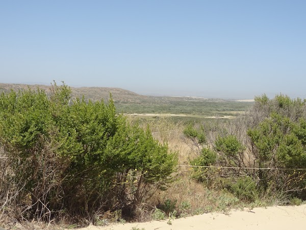 Representative image for Santa Maria, California